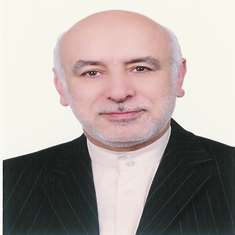 Professor Mohammad Esmaeil Akbari